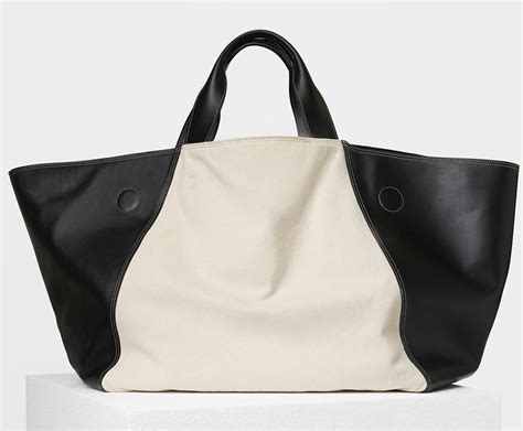 celine canvas bag 2017